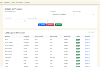 build robust java desktop and backend solutions
