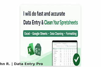 do data entry, excel, and clean up your spreadsheets fast