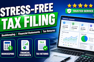 handle tax filing, bookkeeping and financial statements professionally