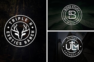 create a luxury business, timeless logo design and branding kit