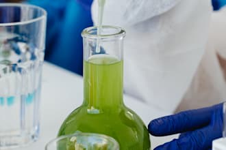 formulate natural and organic skincare product, oil blend, cosmetics formulation