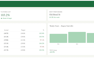 build a professional excel dashboard or tracker for your business