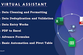 do excel data cleaning, formatting, validation and automation tasks