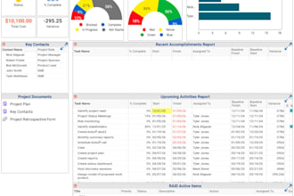 provide expert smartsheet services