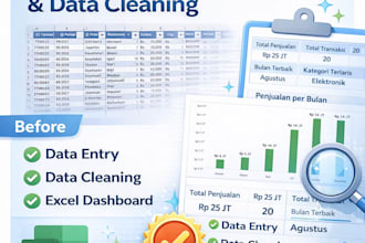 do data entry, excel tasks, and data cleaning
