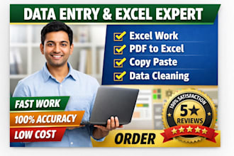 data cleaning, excel data entry, formatting