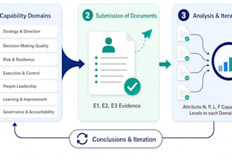 provide a concise, evidence based capability assessment