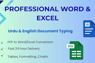 be your expert for urdu english ms word and excel document work