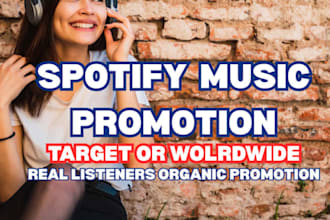 do spotify music promotion to target audience