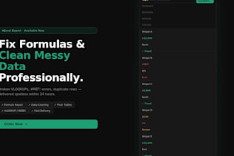 fix excel formulas and clean messy data professionally