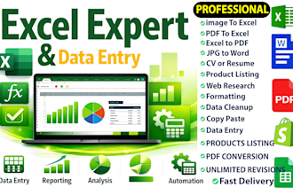 data cleaning excel, excel vba automation, copy typing, online research, word