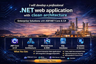 develop a professional dot net web application with clean architecture