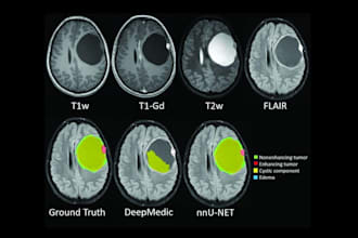 develop ai solutions for medical image analysis research and fyp
