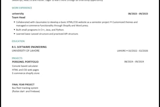 write and design a professional resume and CV