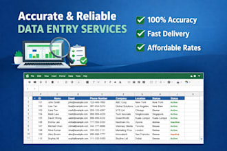 do professional data entry and copy paste task
