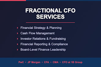 be your fractional cfo and manage your finance function