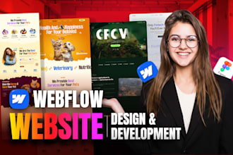 do webflow website development and design, webflow expart