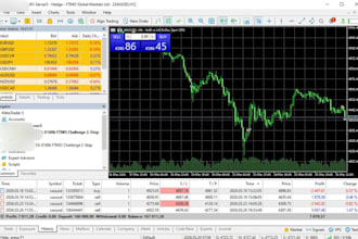 build a custom mt4 mt5 trading bot based on your strategy