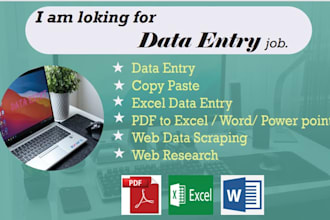 do fast and accurate data entry copy paste, typing work