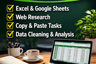 do accurate data entry and excel work