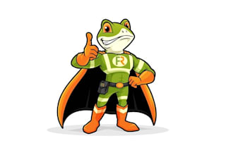 design frogman mascot hero logo