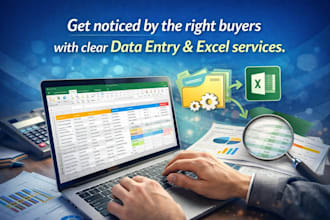 do data entry and excel work accurately