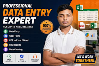 handle data entry, excel reports, data cleaning and mis dashboards