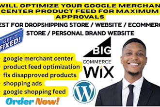 optimize google merchant center product feed, fix shopping ads disapproved issue