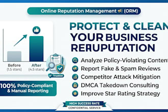 provide professional online reputation management and ORM services