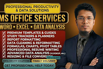 provide professional ms word excel and data analysis solutions