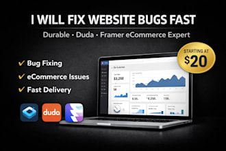 fix debug and resolve issues on durable duda framer ecommerce website