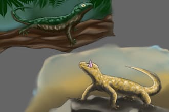 draw detailed animal, creature illustration or concept art