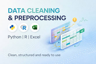 clean and preprocess your dataset in python, r or excel