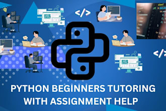 help beginners with python assignments and basic coding
