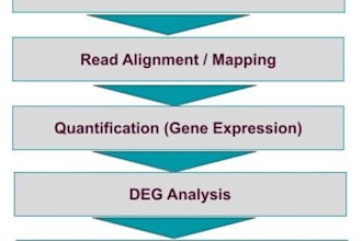 do rna seq data analysis