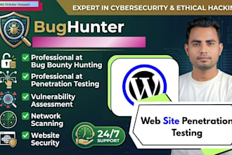 perform professional website penetration testing and vulnerability assessment