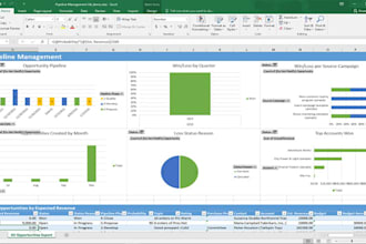 create excel dashboards and professional reports