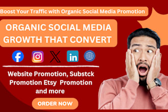 promote website, etsy, substack  with social media marketing to boost audience