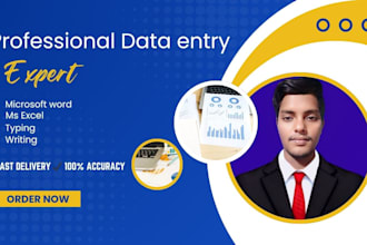 do professional data entry, ms word, excel, copy typing