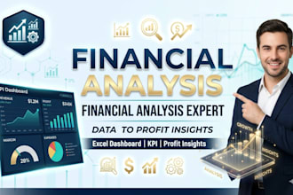 do financial analysis, ratio analysis and create an excel dashboard