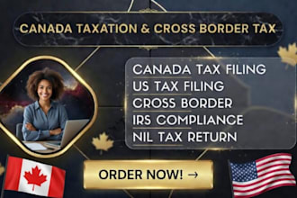 handle US tax return irs filing, international tax for non resident individual