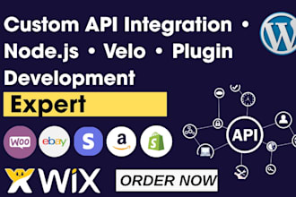 integrate external api with wix website, nodejs API, plugin development wix velo