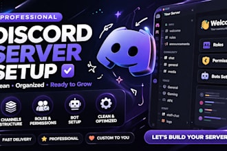 setup a professional discord server