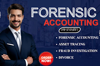 do divorce forensic accounting, investigate fraud, litigation and asset tracing