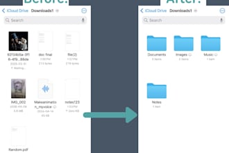 organize your files, folders, and digital workspace
