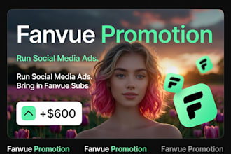 fanvue promotion, run social media ads bring in fanvue subs, fanvue promotion
