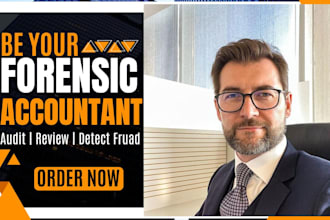 do forensic accounting, fraud investigation and financial analysis report