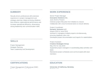 deliver resume writing for your professional career