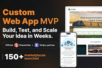 build an investment ready mvp web app for startups