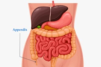 create medical illustration for anatomy and surgical 3d medical visualization